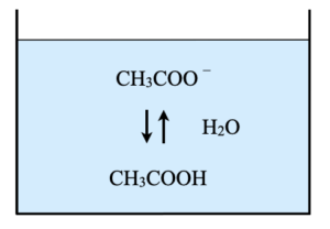 hydrolysis reaction